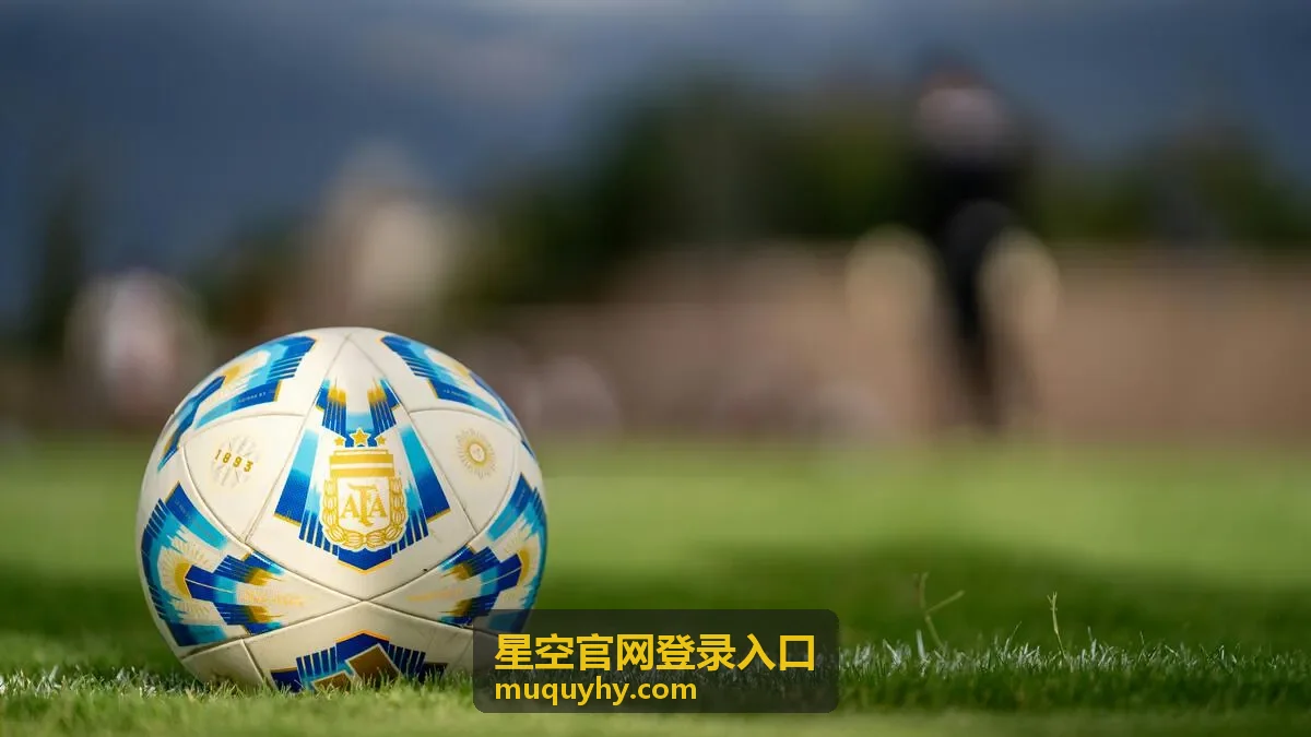星空官网登录入口页面操作示意