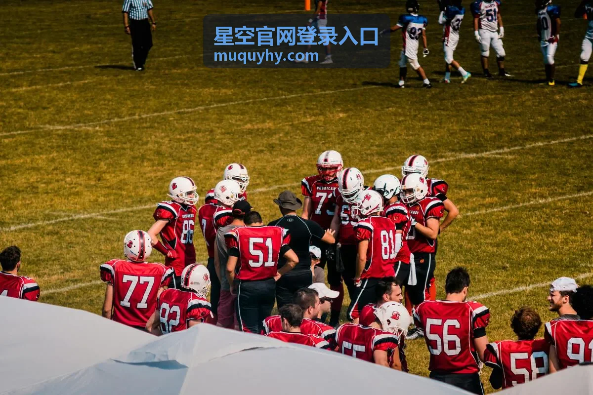 星空官网登录入口账号找回与密码重置流程插图