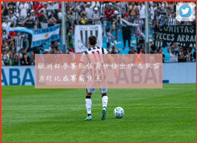 欧洲杯参赛队伍身价榜出炉 各队实力对比成赛前焦点