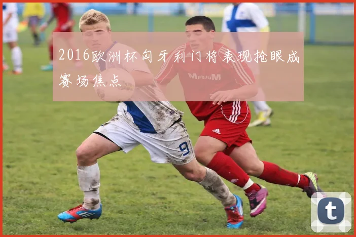 2016欧洲杯匈牙利门将表现抢眼成赛场焦点