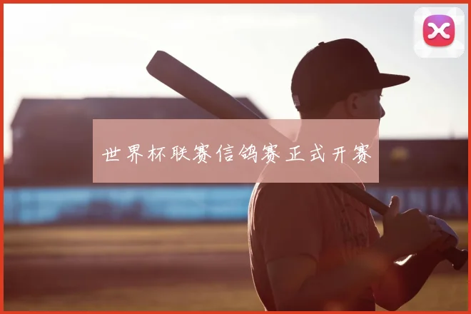 世界杯联赛信鸽赛正式开赛