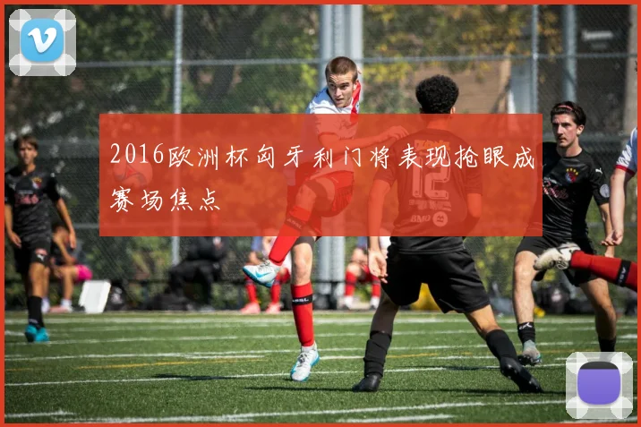 2016欧洲杯匈牙利门将表现抢眼成赛场焦点