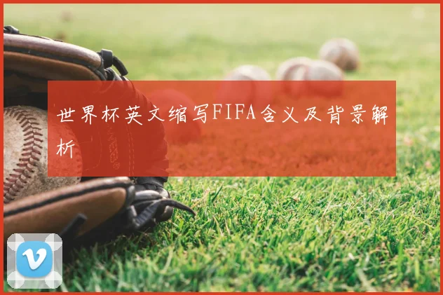 世界杯英文缩写FIFA含义及背景解析