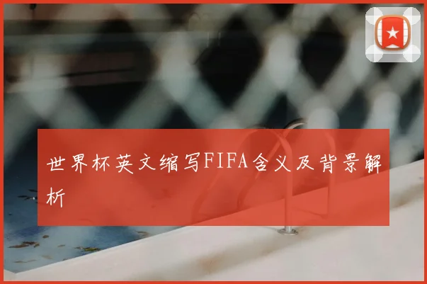 世界杯英文缩写FIFA含义及背景解析